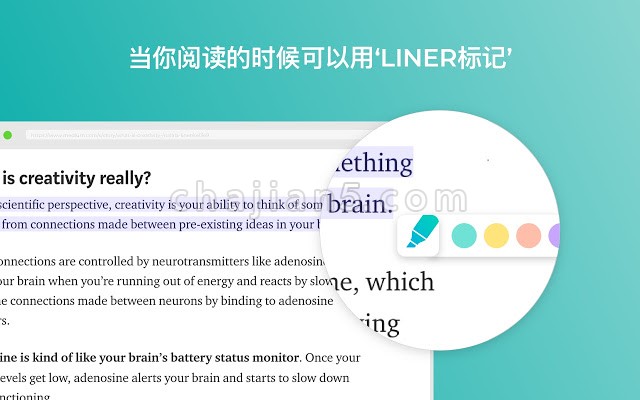 LINER – 帮助您在网页、PDF上标记您想要保存的文本