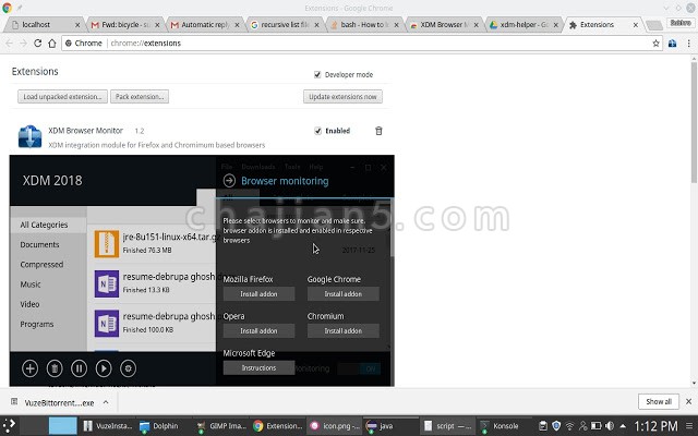 谷歌浏览器插件xdm Browser Monitor Xdm下载管理器 Chrome插件 谷歌浏览器插件网