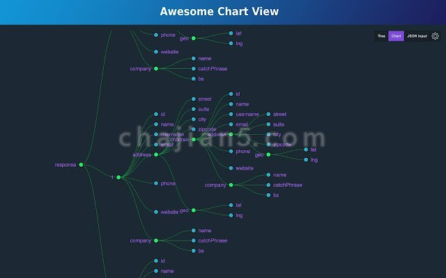 JSON Viewer Pro 可视化JSON