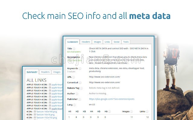 SEO META in 1 CLICK分析网站的标题，描述，关键词，图像，链接